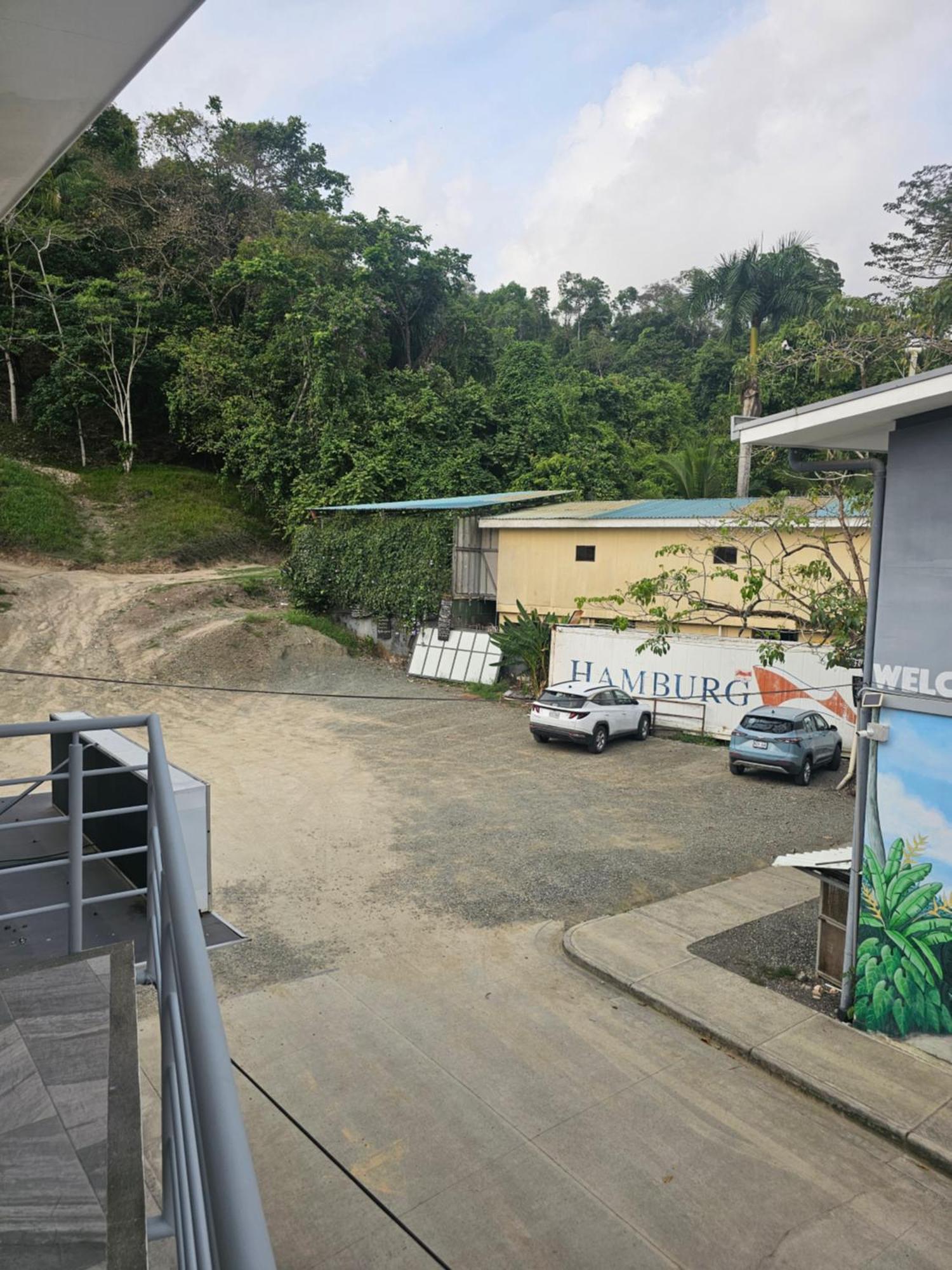 Pura Vida Apartments Quepos Cameră foto